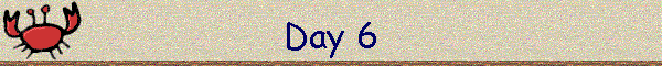 Day 6