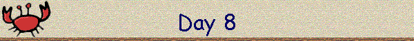 Day 8