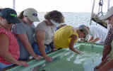 BOAT4.jpg (63592 bytes)
