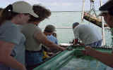 BOAT5.jpg (61415 bytes)