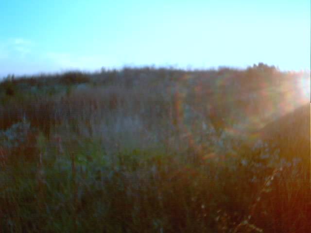 Hill-top Spot #2 (South Facing Hill-top)