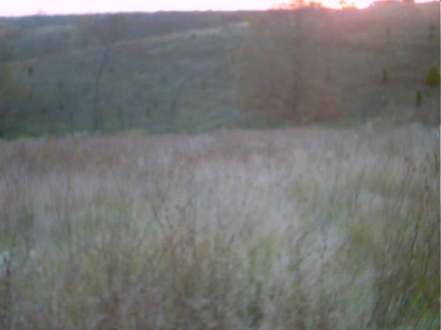 Hill-top SPOT #3 (West Facing Field)