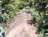 The roads only get worse out in the bush!