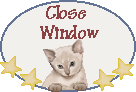 Close Window