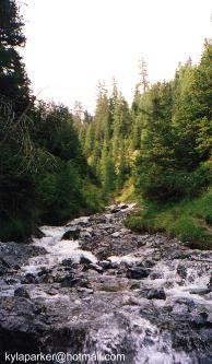water4