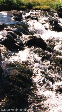 water7