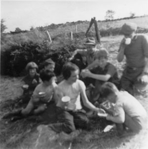 picnic