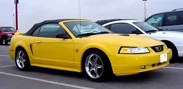 Yellow Horse