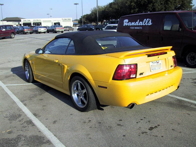 Yellow Horse