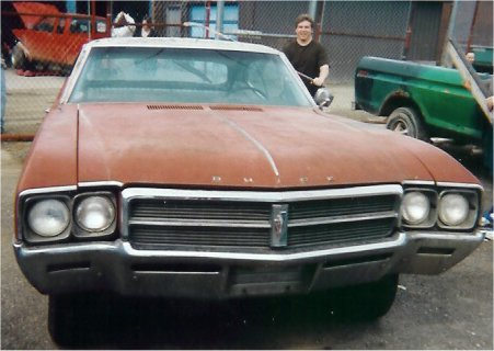 skylark