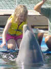 sister and dolphin.JPG (50913 bytes)