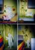bunnies (126kb)