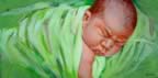 'Little Gallo' 2003, 20