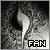 The Official FF8 SeeD Fanlisting // Special Forces