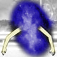Will of the Macrocosm