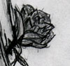 Green Rose