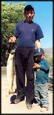 Mans record is 23 kg trout from Lake Issyk Kul by net