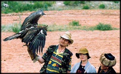 Very good that eagle is now blind !