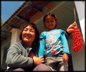 Cherries are for sale by the road