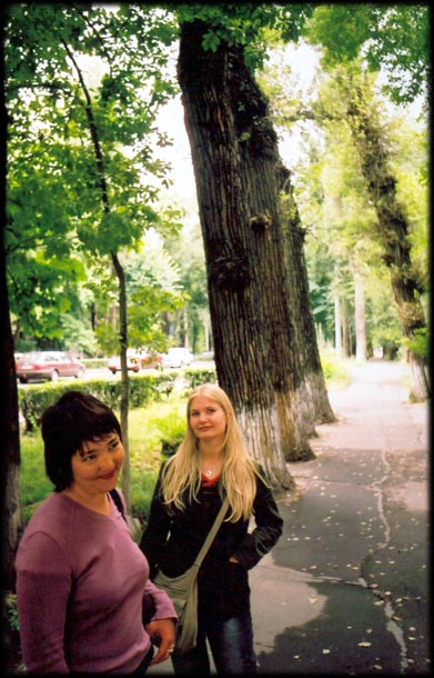 Address: - 78 tynystanova -