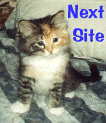 ring2.gif 
(13176 bytes)