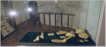 Museo di Speleologia Vincenzo Rivera - L'Aquila - Abruzzo - Italy