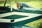 hogbiplane