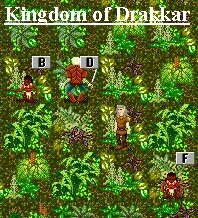 Go to the Kingdom of Drakkar