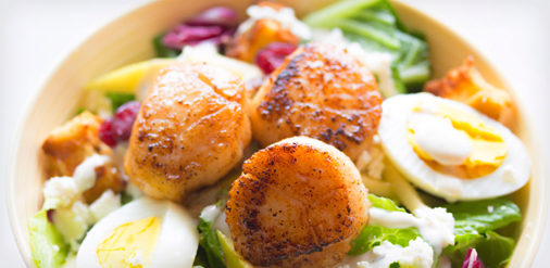 Scallops
