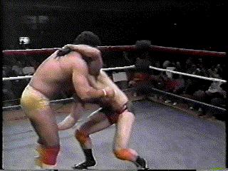 Lavender Slams Savoldi.