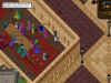 day5a.JPG (81382 bytes)