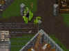 orcfort3.JPG (71857 bytes)
