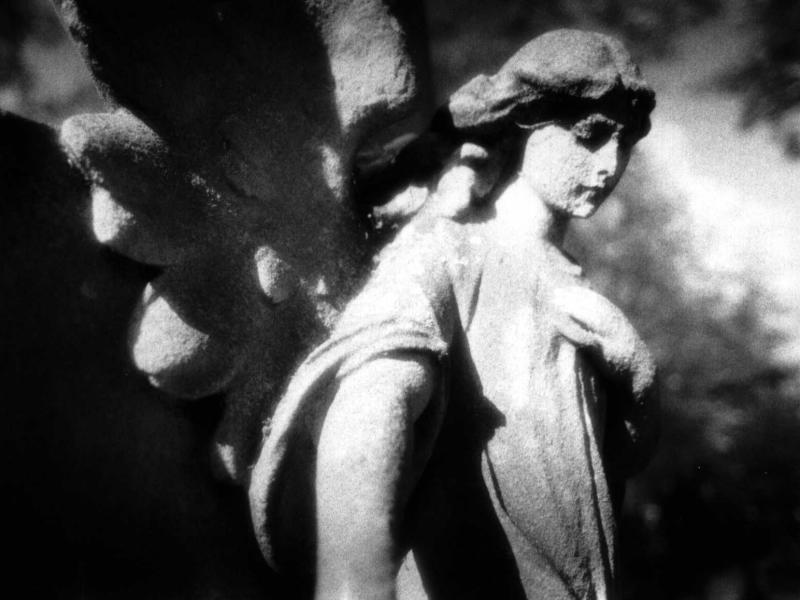 angels fall first