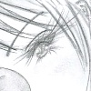 the sprouting of wings