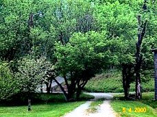 Marsha's yard