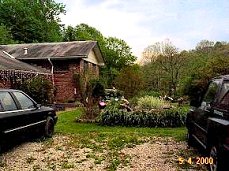 Marsha's yard