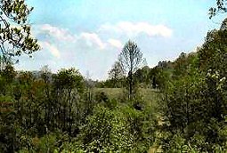Shreve Cemetery