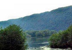 US 15