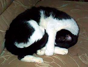Willie -- tuckered out
