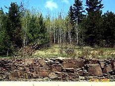 Minnesota