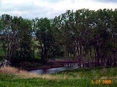 Uncle Del's Farm