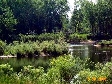 Denver's bike trails