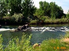 Denver's bike trails
