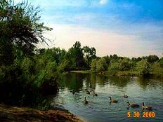 Denver's bike trails