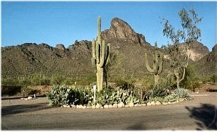 Picacho Peak RV Resort