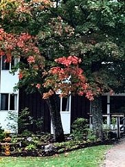 Fall Colors