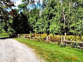 Lovely Roadsides