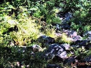 This is a trail?