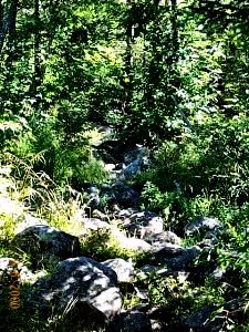 This is a trail!