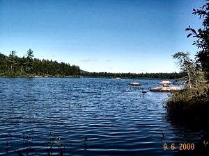 The Pond